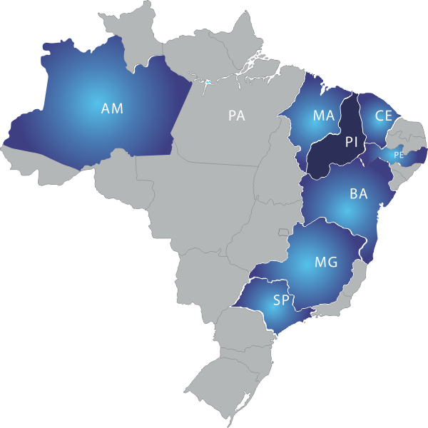 Área de Atuação Secopi Segurança